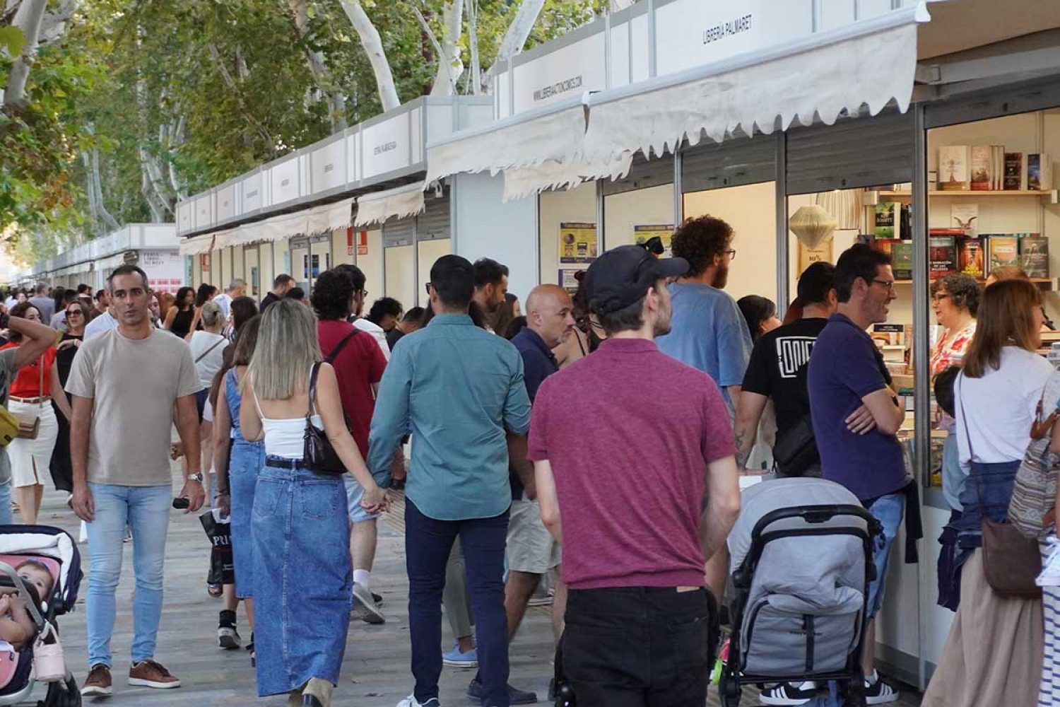 Feria Libro Murcia 2024